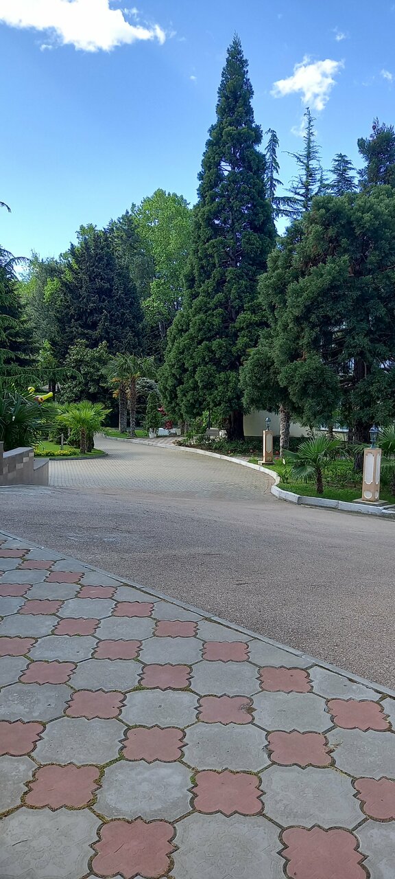 Гостиница Демерджи Алушта-244