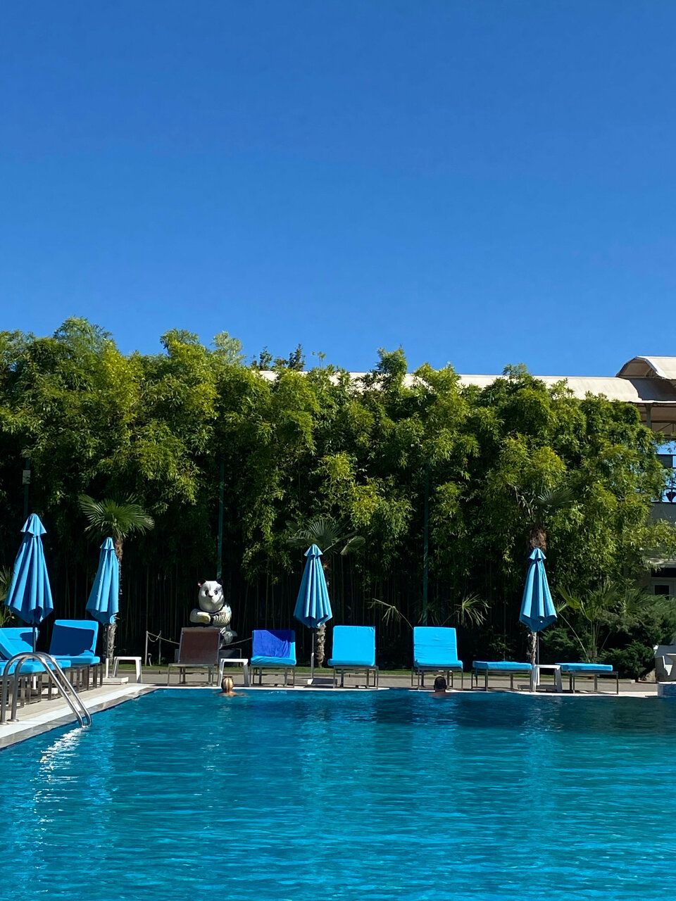 Гостиница Демерджи Алушта-242