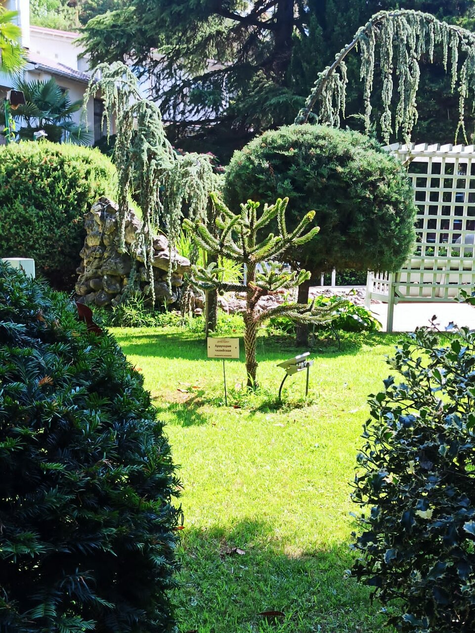 Гостиница Демерджи Алушта-179