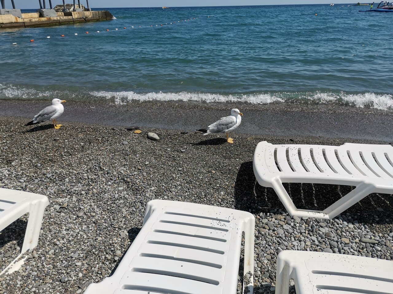 Гостиница Демерджи Алушта-171