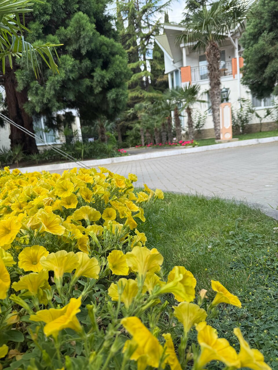 Гостиница Демерджи Алушта-174