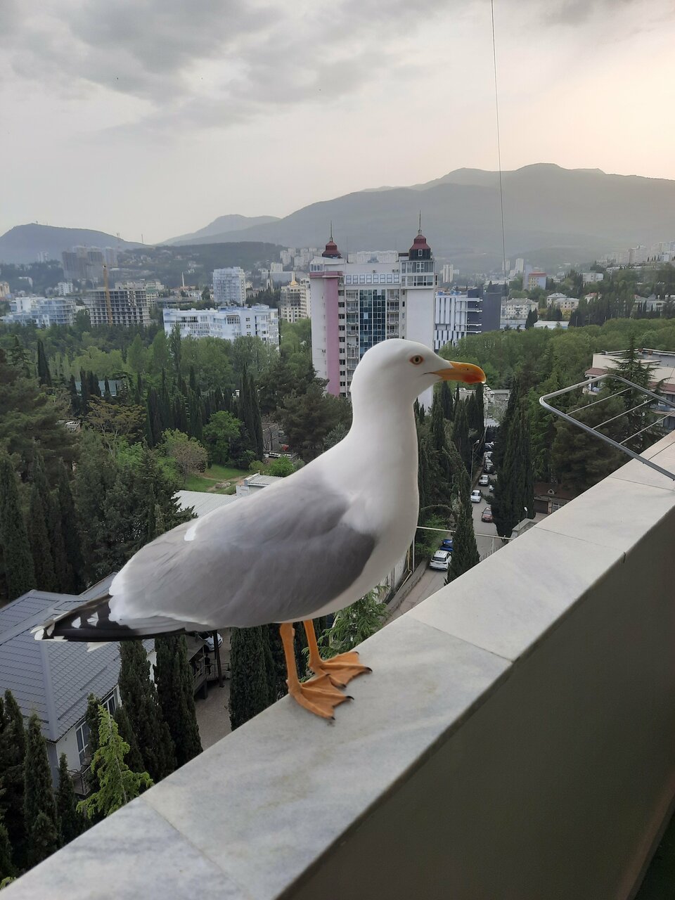 Гостиница Демерджи Алушта-190