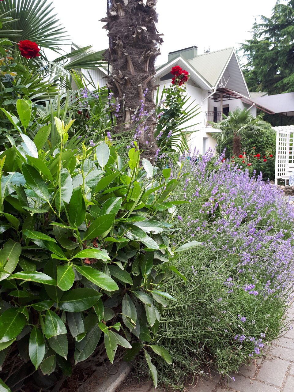 Гостиница Демерджи Алушта-66