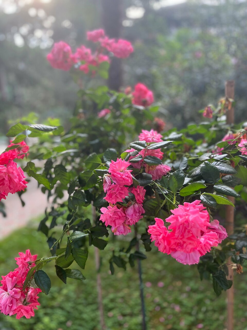 Гостиница Демерджи Алушта-183