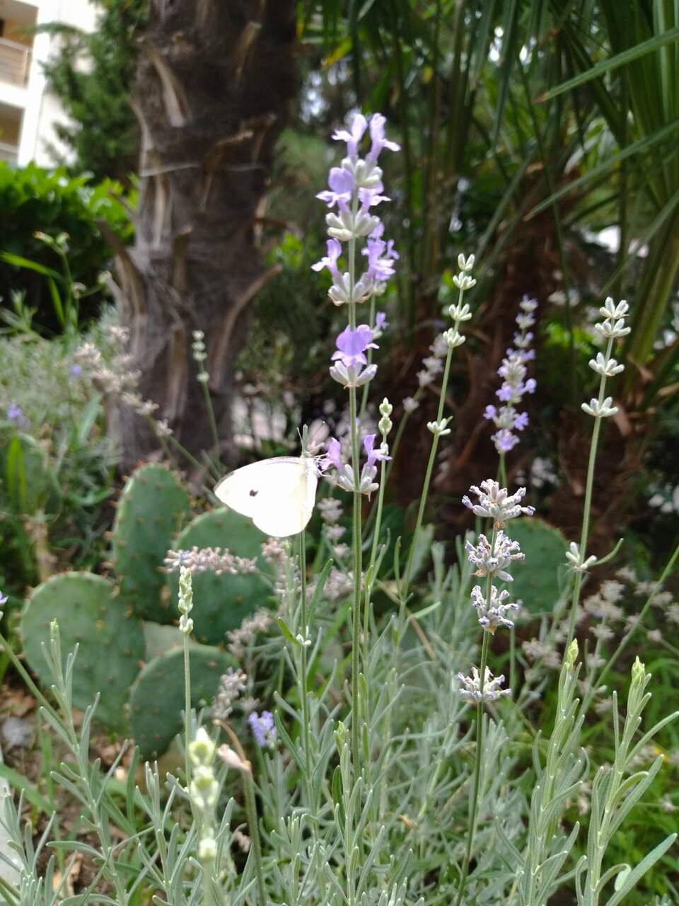 Гостиница Демерджи Алушта-173