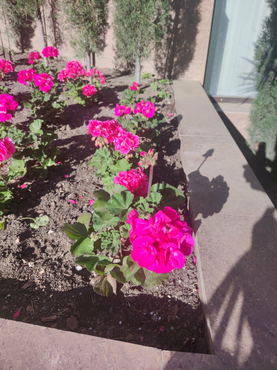 Гостиница Демерджи Алушта-241