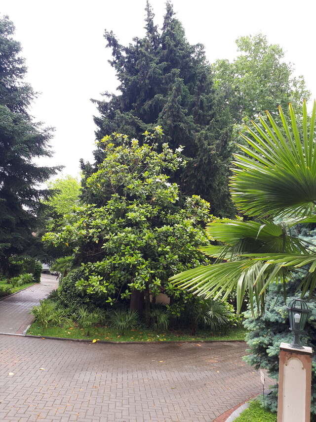 Гостиница Демерджи Алушта-62