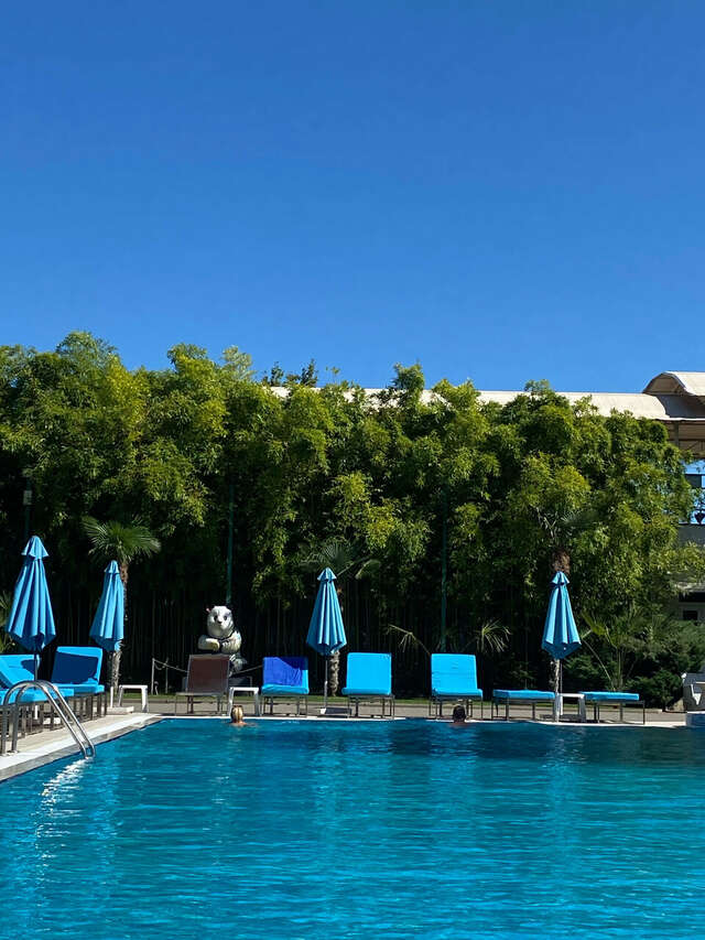 Гостиница Демерджи Алушта-241