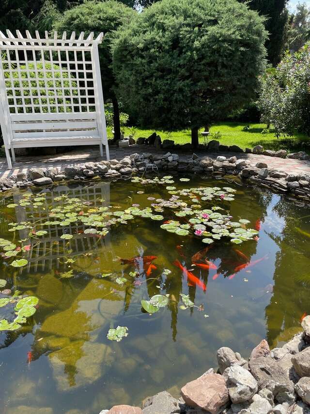 Гостиница Демерджи Алушта-49