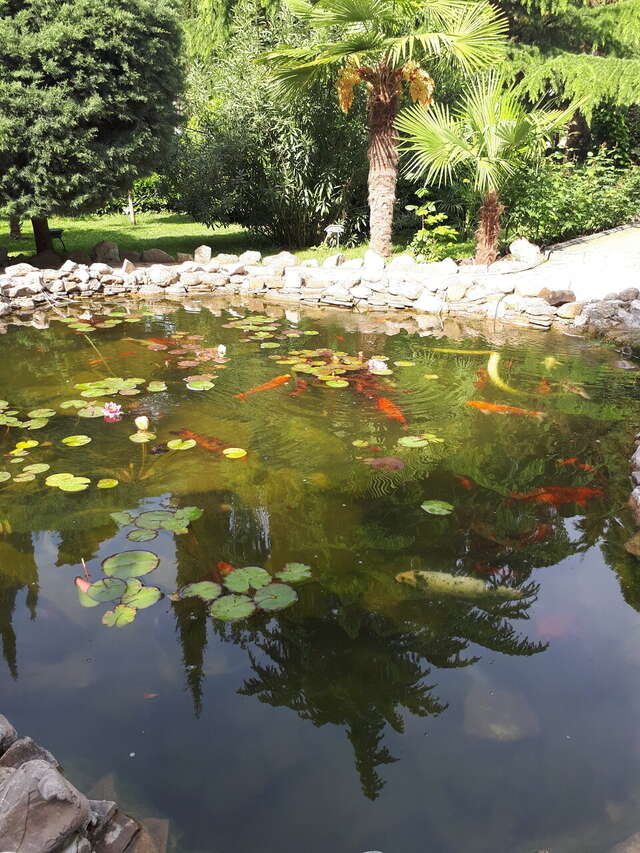 Гостиница Демерджи Алушта-63