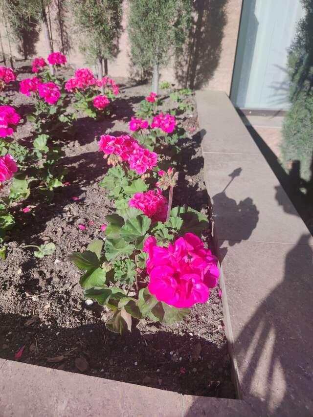 Гостиница Демерджи Алушта-240