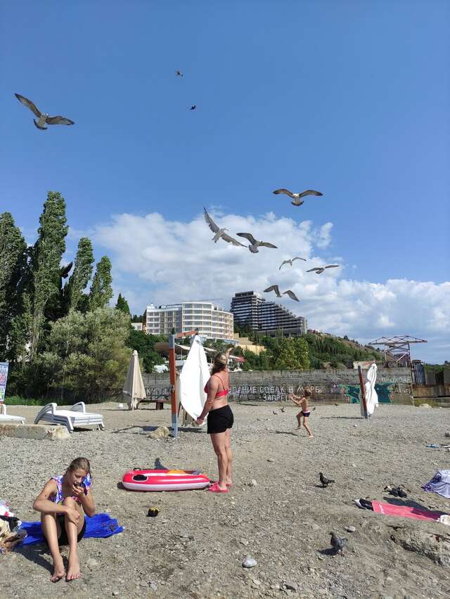 Гостиница Демерджи Алушта-206